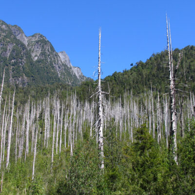 carretera austral