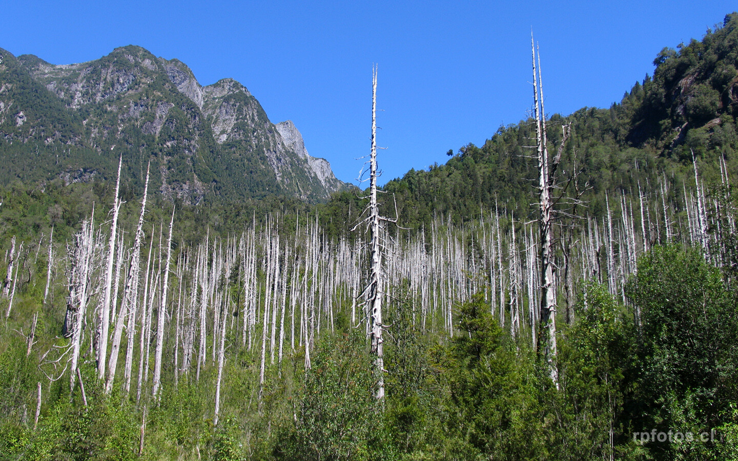 carretera austral