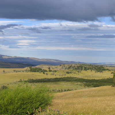 Camino a Coyhaique