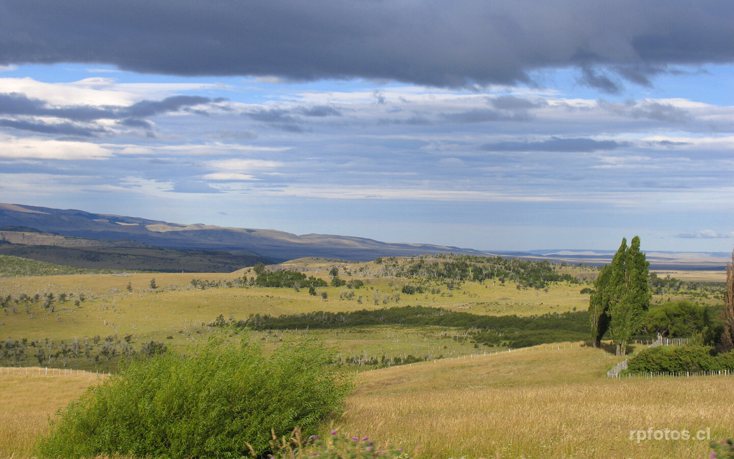 Camino a Coyhaique