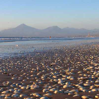 La serena