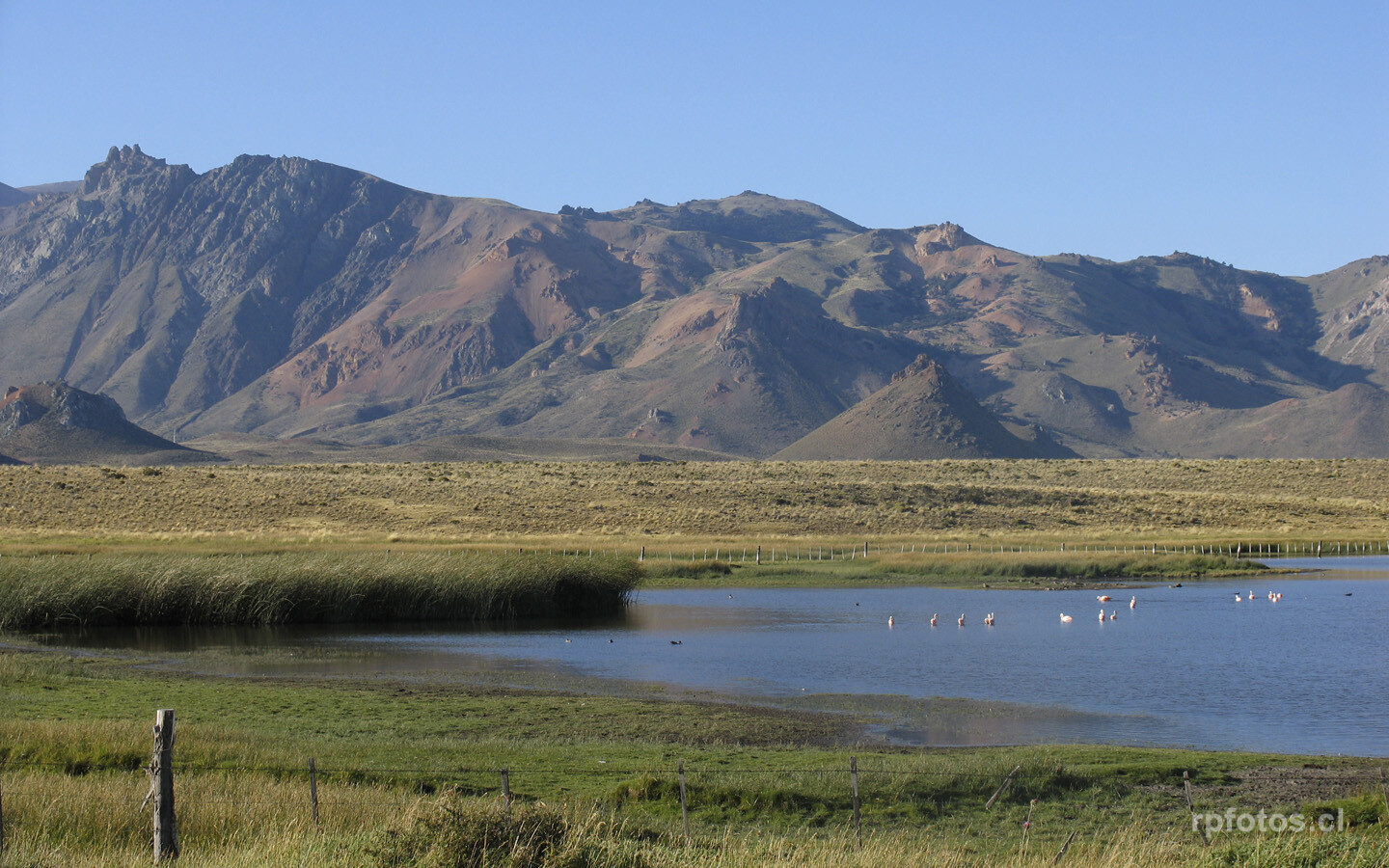 cerca de Esquel 2