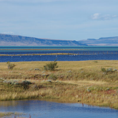 lago argentino