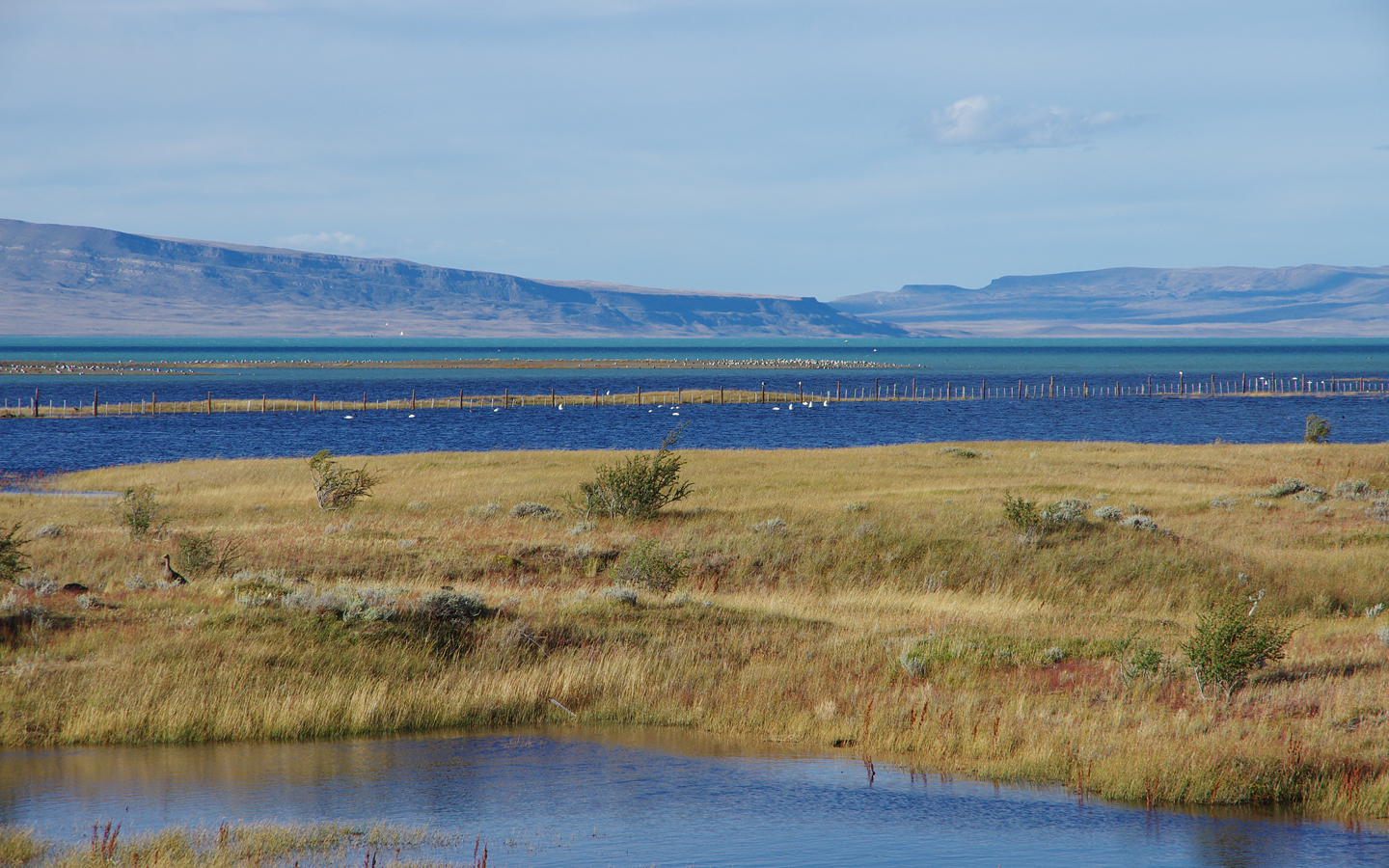 lago argentino