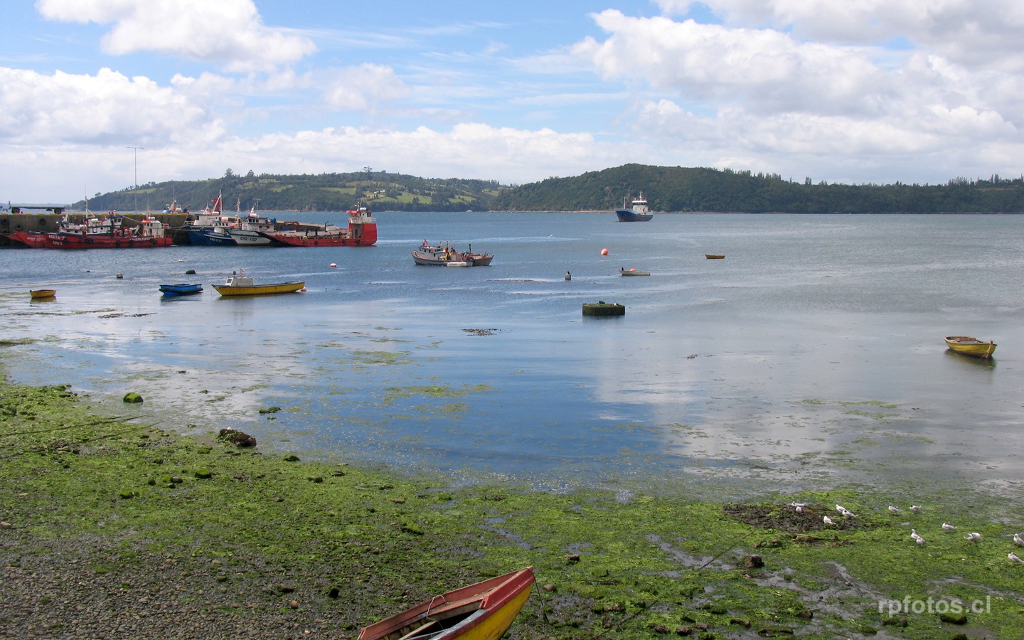 puerto de Chonchi