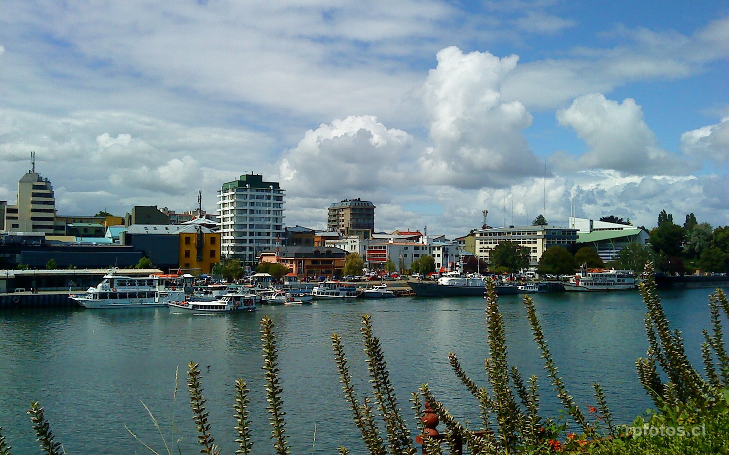 valdivia