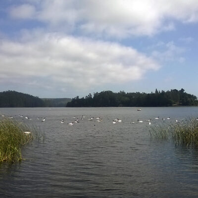 Laguna San Pedro