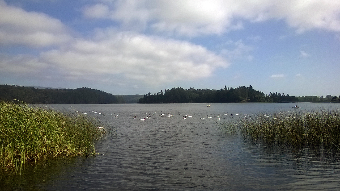 Laguna San Pedro