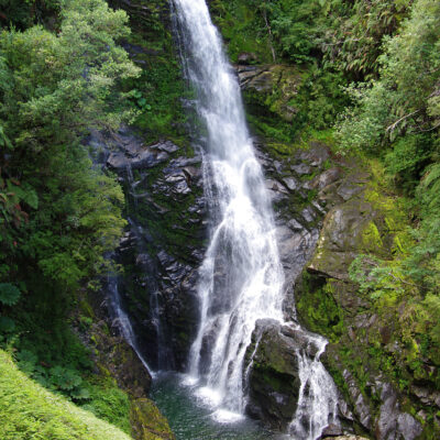 Parque Pumalín