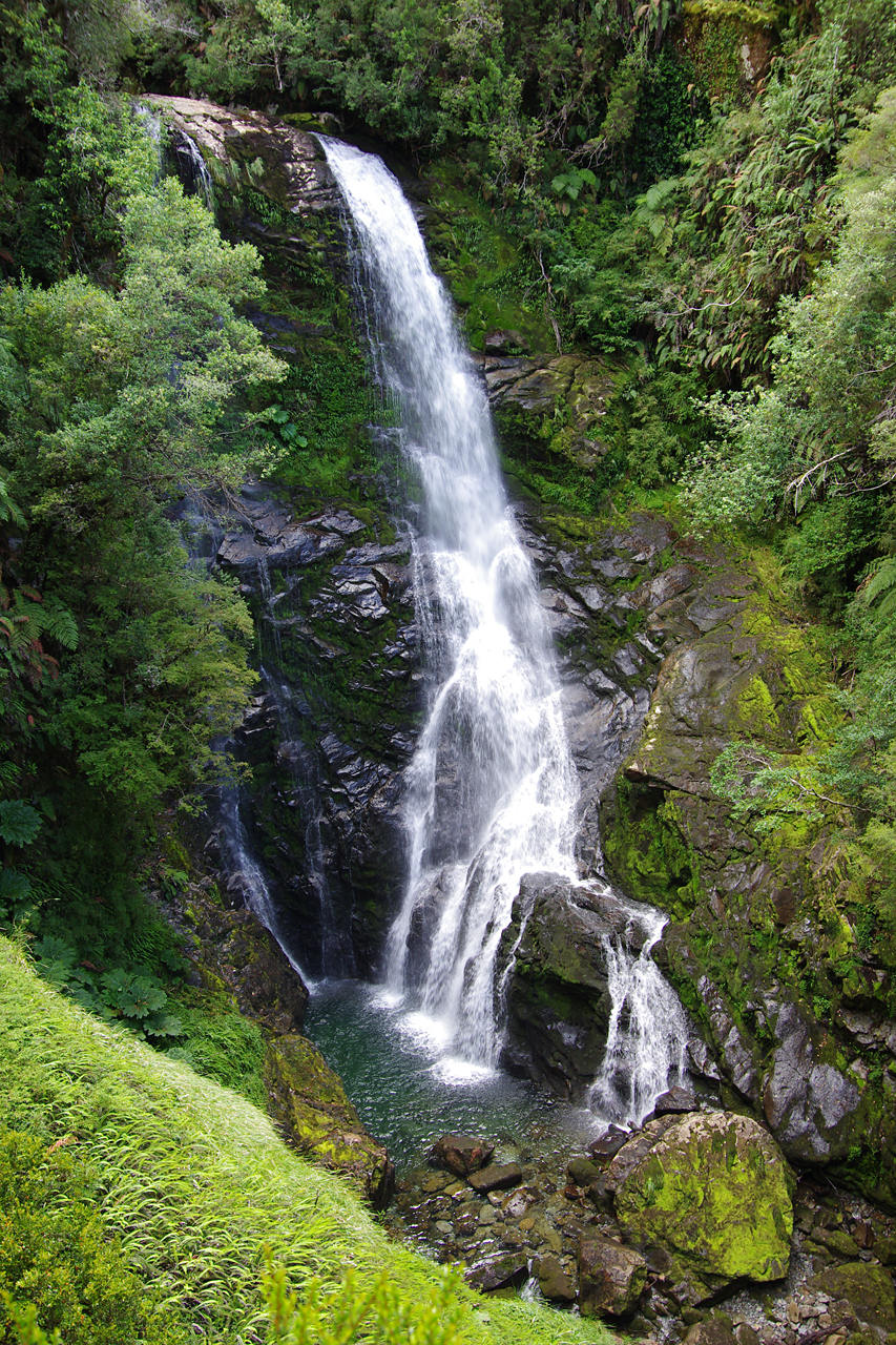 Parque Pumalín