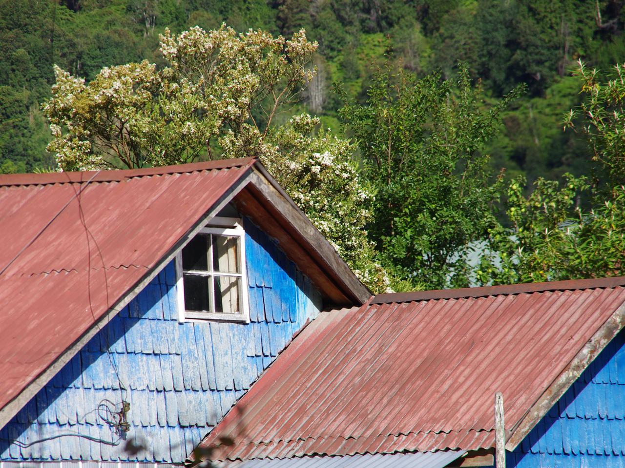 casa en puhuyuapi