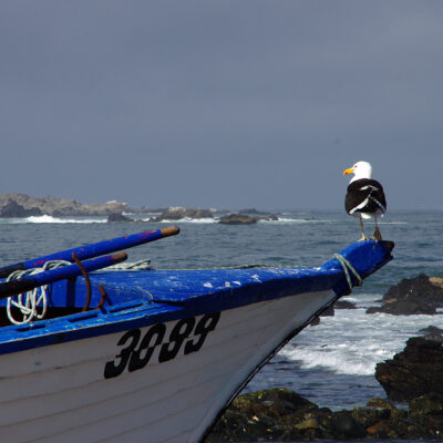 Punta de Choros