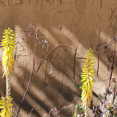 pared con flores