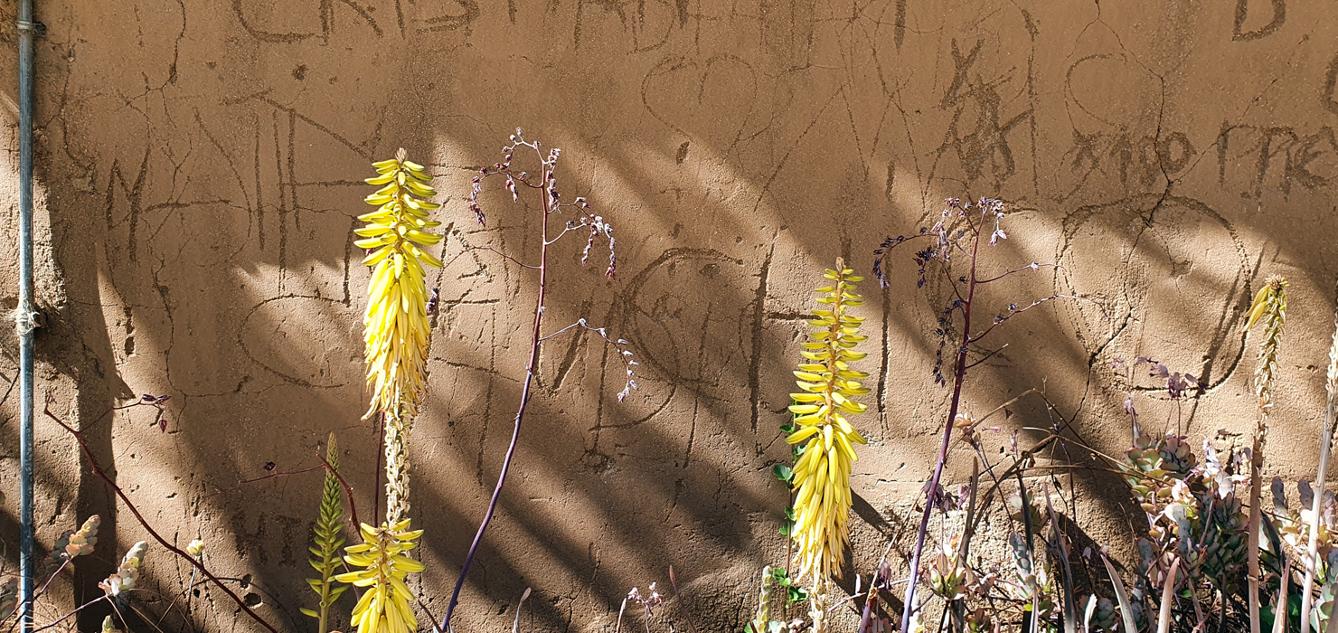 pared con flores