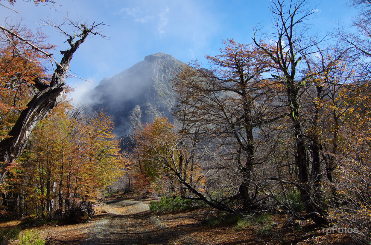 paisaje otoñal
