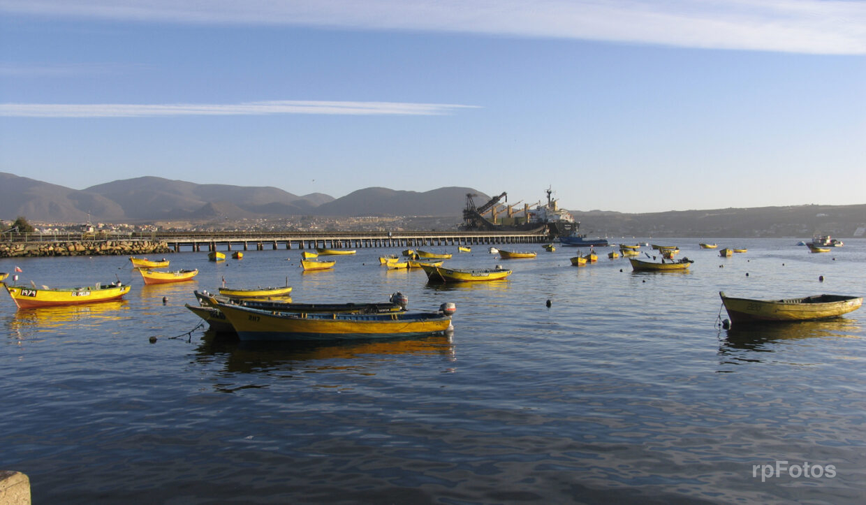 Botes en Caleta de Guayacán