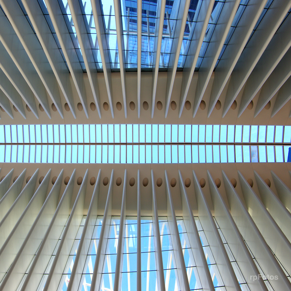 Oculus