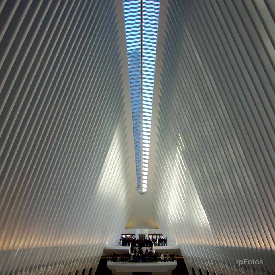 Oculus