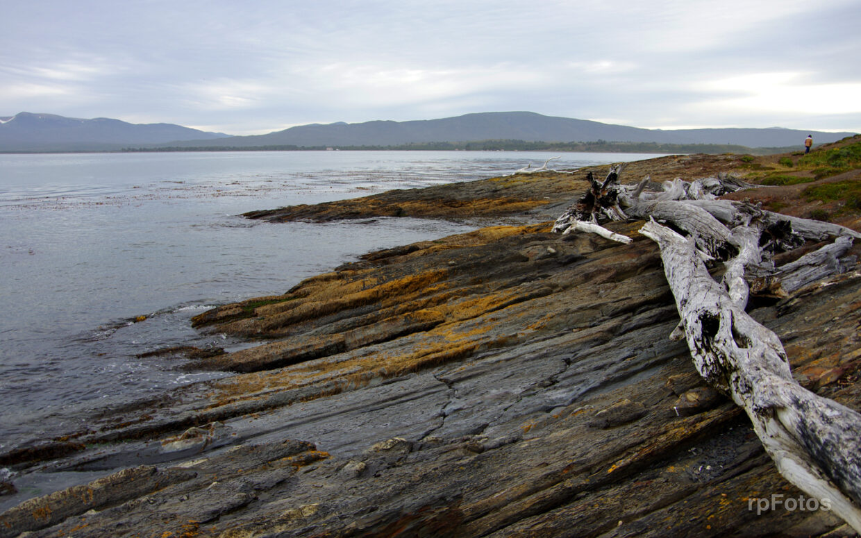 Puerto del Hambre, en Punta Arenas