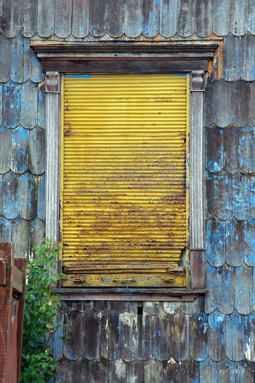 Ventana en Puerto Octay