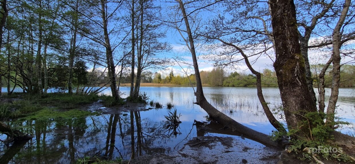 Río Cruces en Valdivia