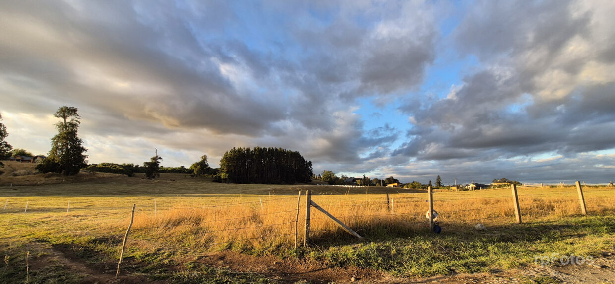 campo en Frutillar