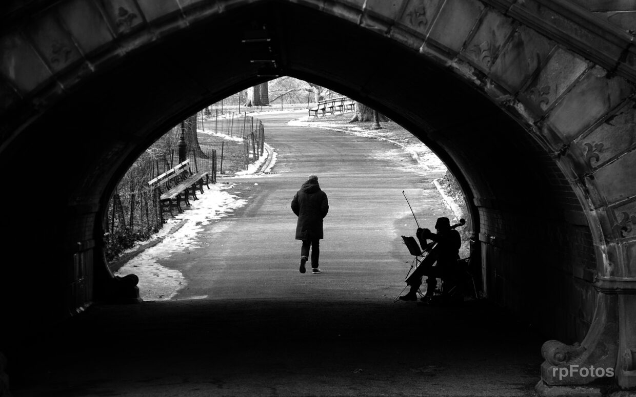 Puente en Central Park