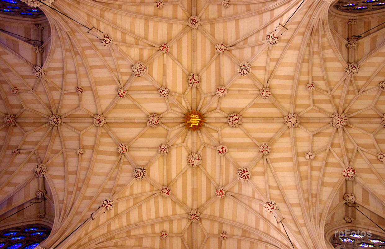 Bóveda de St.Patrick Church