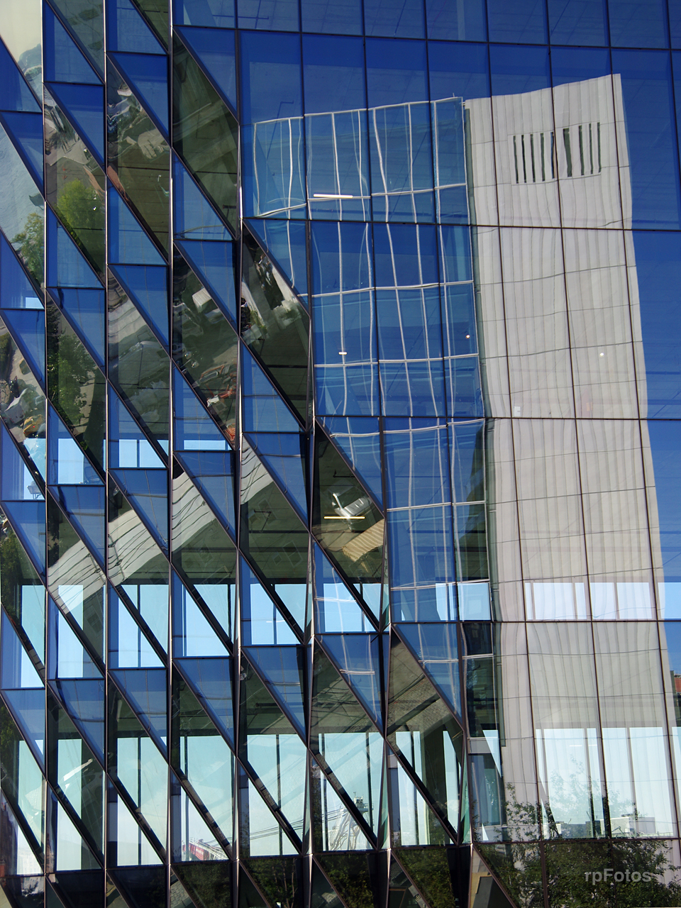 Edificios en NYC