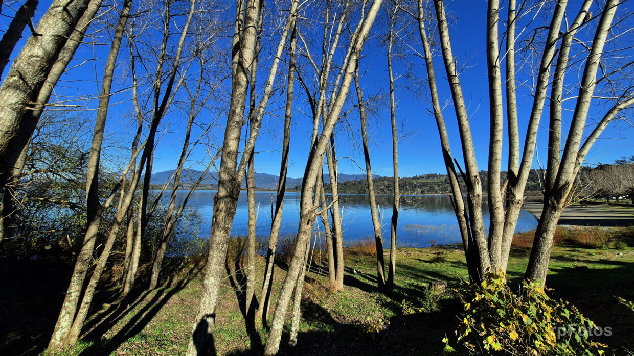 Lago Panguipulli