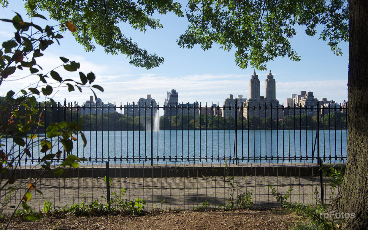 Central Park, NYC