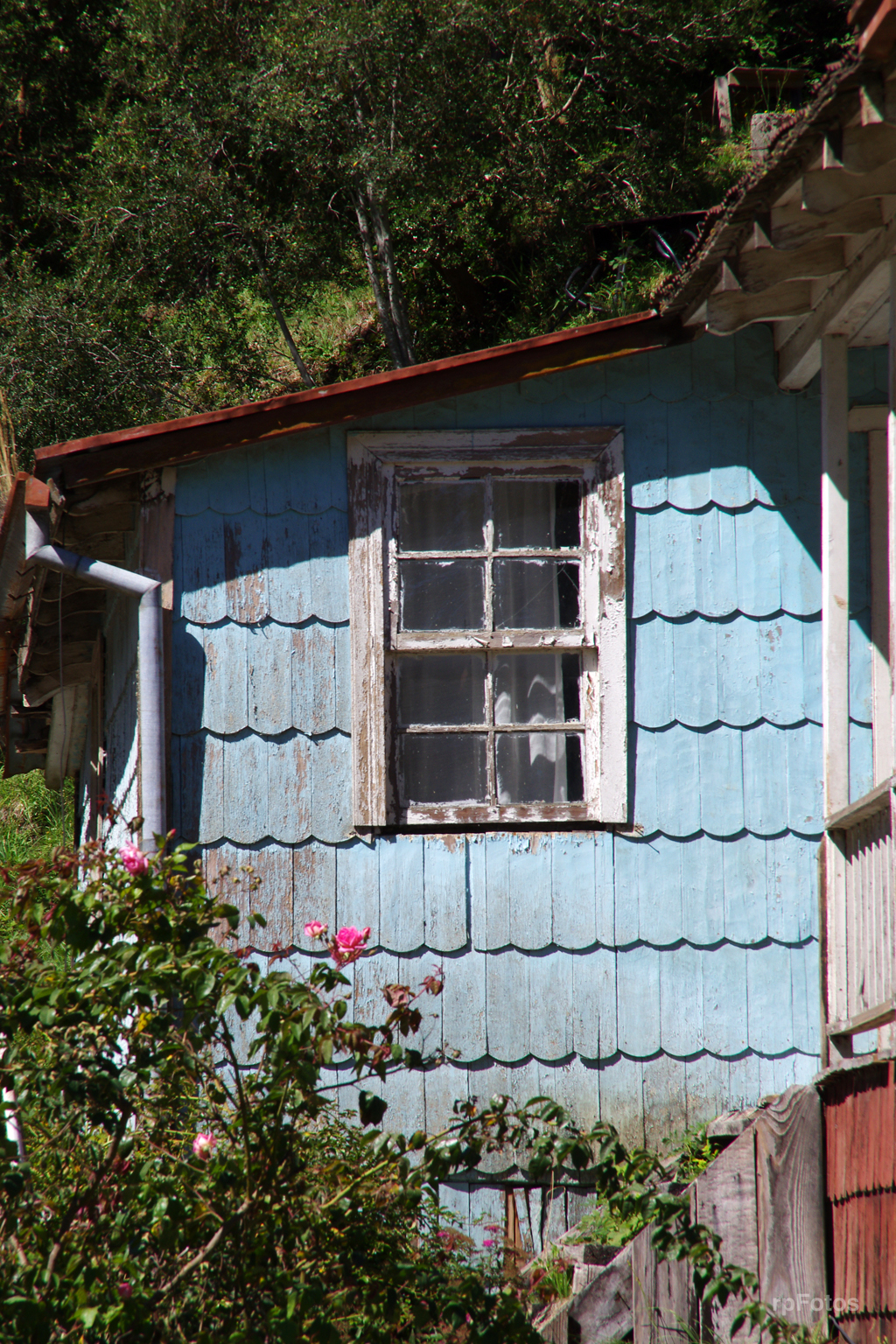 Ventana en Peulla