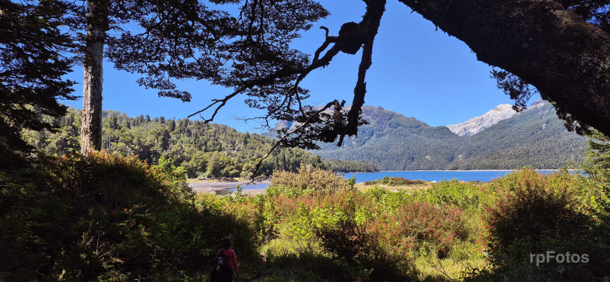Lago Pinto Concha, Hornopirén