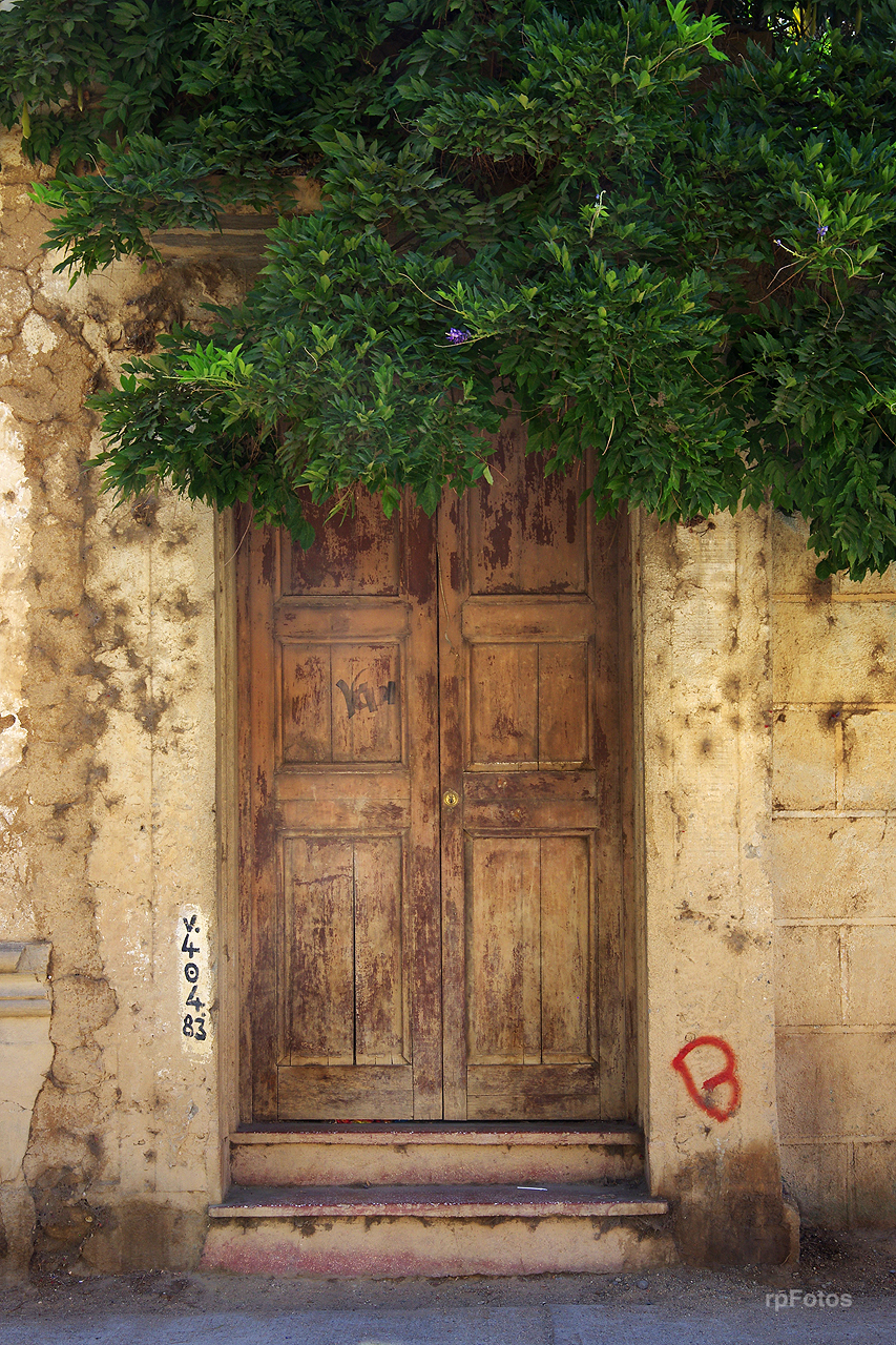 Puerta en Pisco Elqui