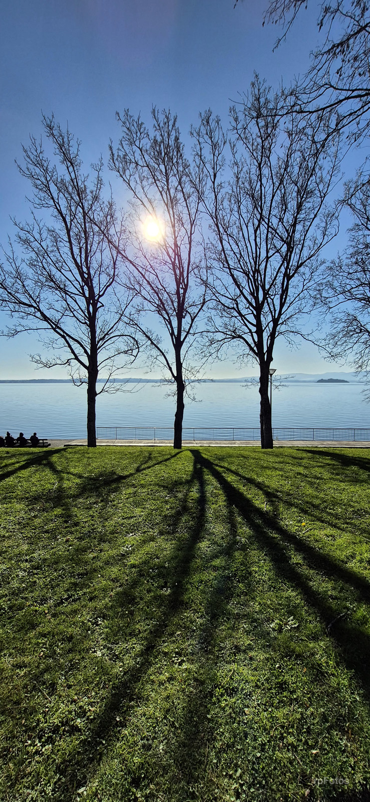 Costanera Lago Ranco